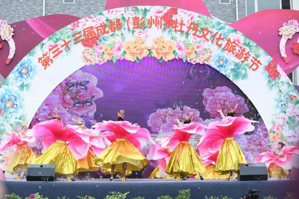 论演出活动策划营销环境
